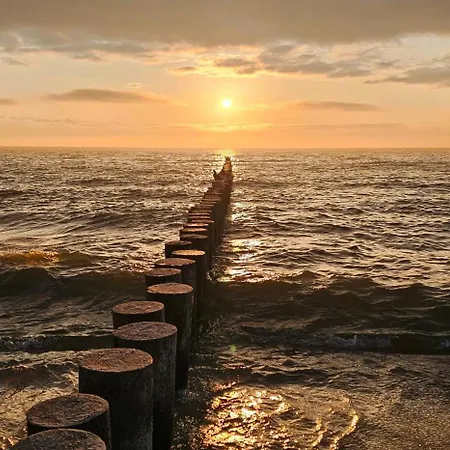 Seaview & Rooftop Terrace 77b