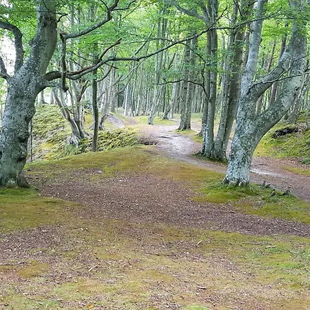 Daire Seaview & Rooftop Terrace 77b *