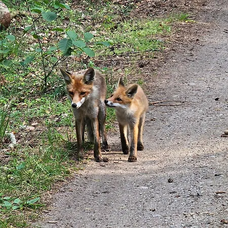 Seaview & Rooftop Terrace 77b Daire *