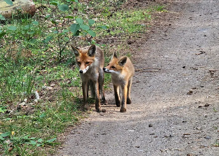 Seaview & Rooftop Terrace 77b Lägenhet *